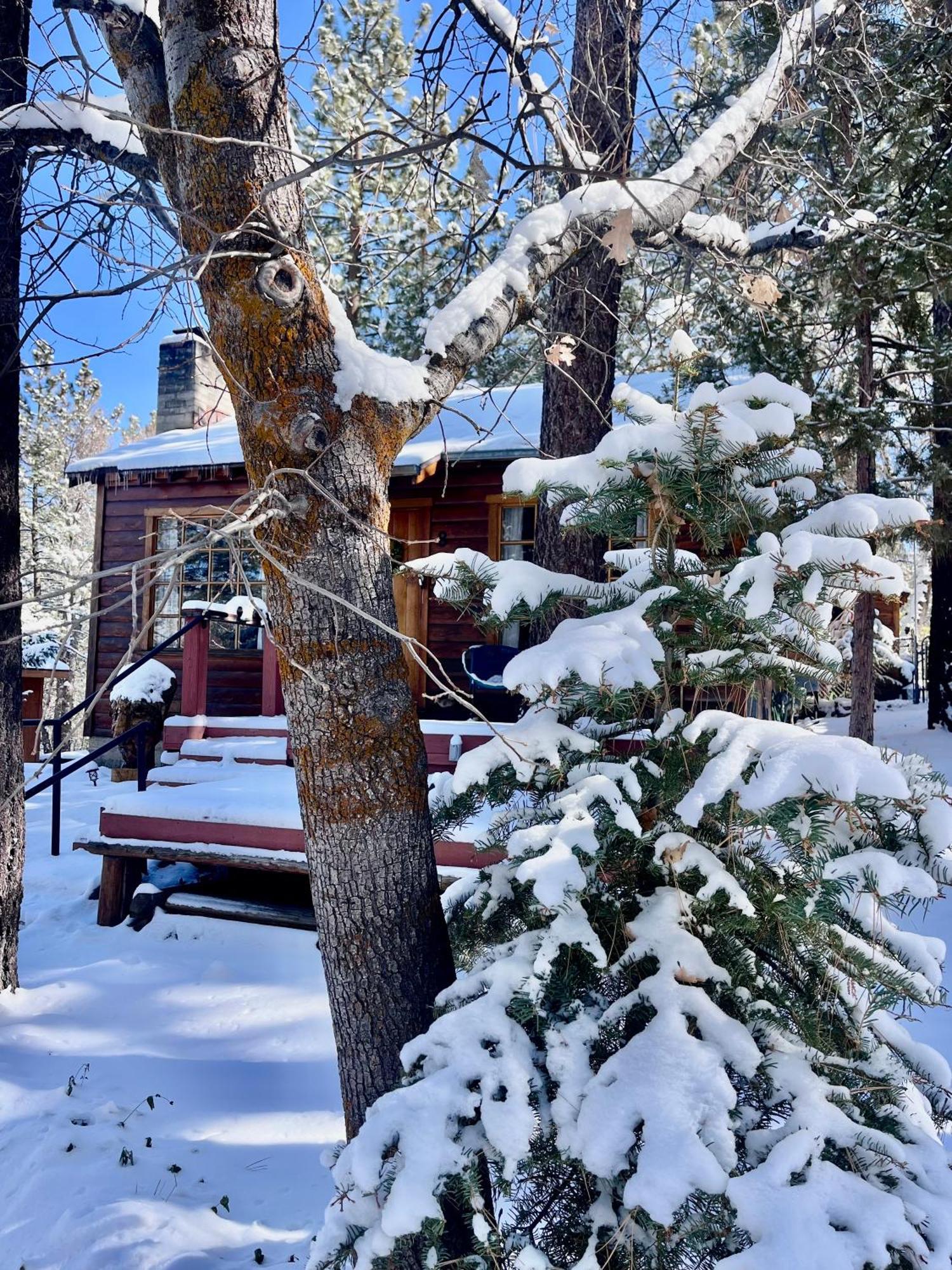 The Nest On Towne Trail - Hot Tub, Bbq, Fire Pit Villa Big Bear Lake Dış mekan fotoğraf