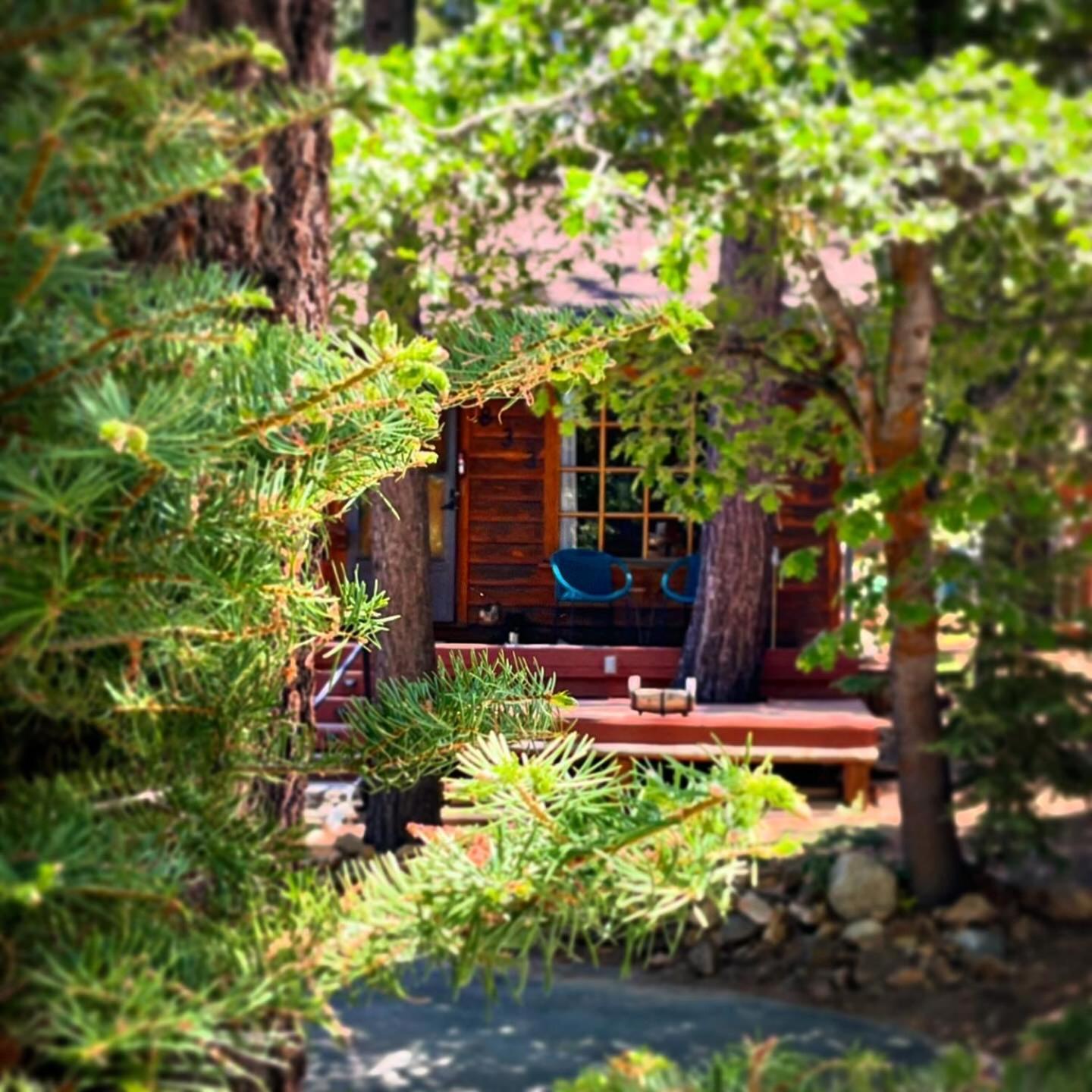 The Nest On Towne Trail - Hot Tub, Bbq, Fire Pit Villa Big Bear Lake Dış mekan fotoğraf